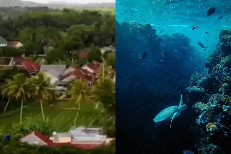 Kisah Kampung yang Dulunya Dasar Lautan, Asal-usul Kecamatan Jampang di Sukabumi, Ditemukan Fosil Hewan Laut?