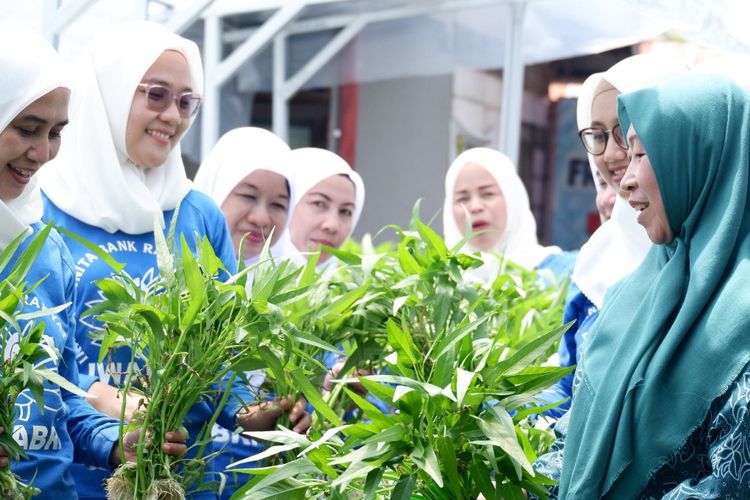 BRI Peduli Bertani di Kota alias BRInita di Banjarmasin Hasilkan Dampak Positif Aksi Menanam di Lahan Sempit