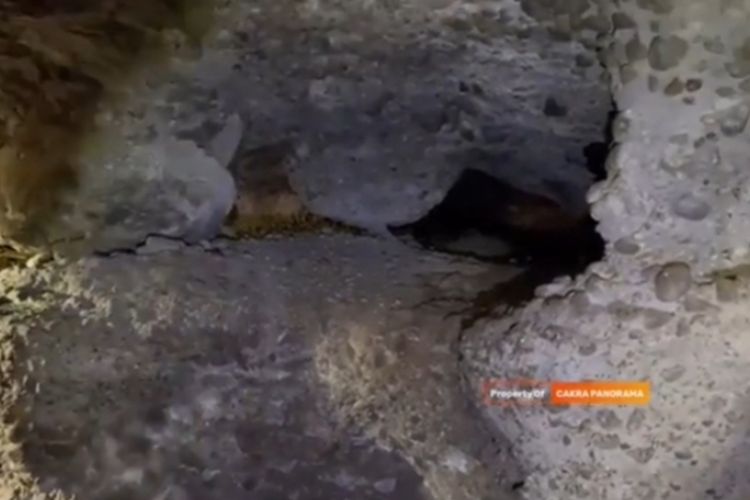 Bikin Geger! Gua Tersembunyi di Mojokerto, Jatim Ini Awalnya Dikira Berisi Akar Pohon, Tapi Ternyata Isinya…