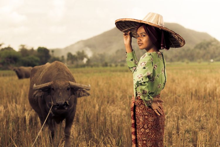 Bupatinya Didapuk Sebagai yang Terbaik di RI, Sambas Ternyata Punya PAD Senilai Rp16 Miliar, Karena Pertanian?