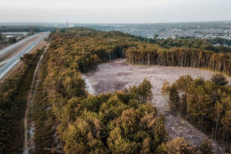 Diresmikan Soeharto, Daerah Hutan di Papua Tengah Ini Dijuluki Kota Emas Walau di Ketinggian 2000 MDPL