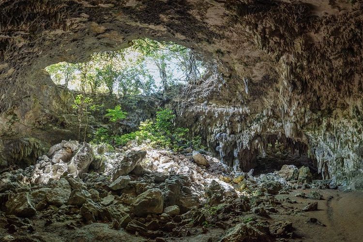 40 Km dari Kota Gresik, Lokasi Ini Jadi Tempat Semedi Sunan Kalijaga Selama 3 Tahun, Benarkah?