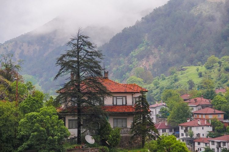 Bukan Palas, Ternyata Ini Kecamatan di Lampung Selatan yang Dapat Dana Desa Terkecil, Cuma Rp 3 Miliar?