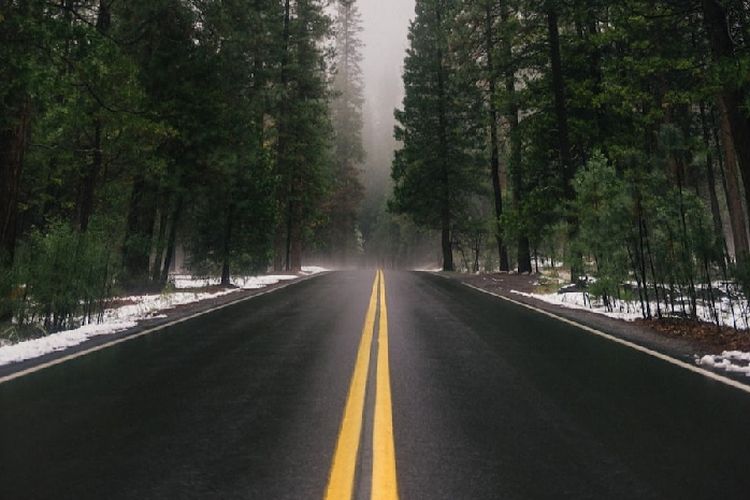 Bantu Kawasan Pedalaman, Jalan Perbatasan Kalimantan Barat Akan Tembus ke Kalimantan Timur, Selesai Kapan?