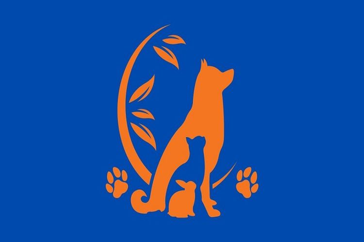 Tes Kepribadian: Ketahui Sikap Hati-hati dan Ambil Resiko Sesuai Gambar yang Kamu Lihat Pertama Kali