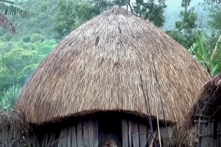 Sekilas Tentang Honai, Rumah Khas Suku Dani di Papua yang Asal Usulnya Terinspirasi dari Sangkar Burung