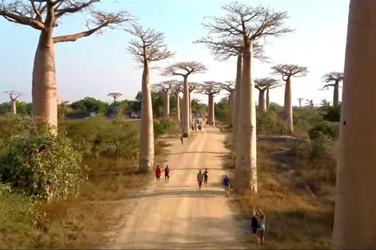 Menguak Cerita Penduduk Madagaskar, Warga: Nenek Moyangku dari Indonesia, Apa Buktinya?