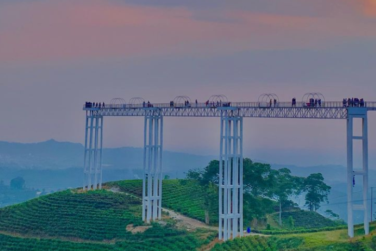 Inilah 7 Wisata Jembatan Kaca yang Instagramable di Jawa Tengah, Ada yang Mampu Tahan Beban hingga 1 Ton
