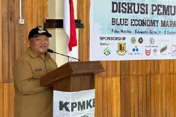 Kekayaan Wakil Bupati Berau Kalimantan Timur Capai Miliaran, Tak Kalah Banyak dari Bupatinya, Asli Orang Kaya?