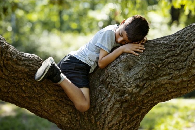 Studi Ungkap Memeluk Pohon Mampu Atasi Stress Sekaligus Tingkatkan Imunitas, Jangan Anggap Remeh!
