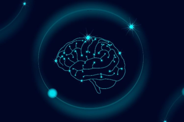 Waduh! Rata-Rata IQ Orang Indonesia Terendah di Asia Tenggara, Kematian Ibu dan Stunting Jadi Masalahnya?