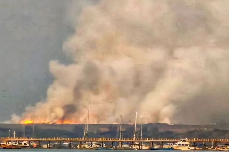 Lagi! Karena Overload, 3 Hektare Lahan Terbakar di TPA Suwung Bali Bahkan Hingga Sebabkan Kabut Asap!