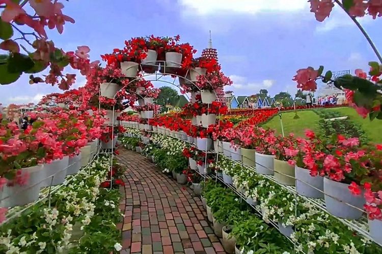 Bak di Jepang, Taman Bunga di Semarang Jawa Tengah Ini Sajikan Sensasi Liburan di Negeri Dongeng