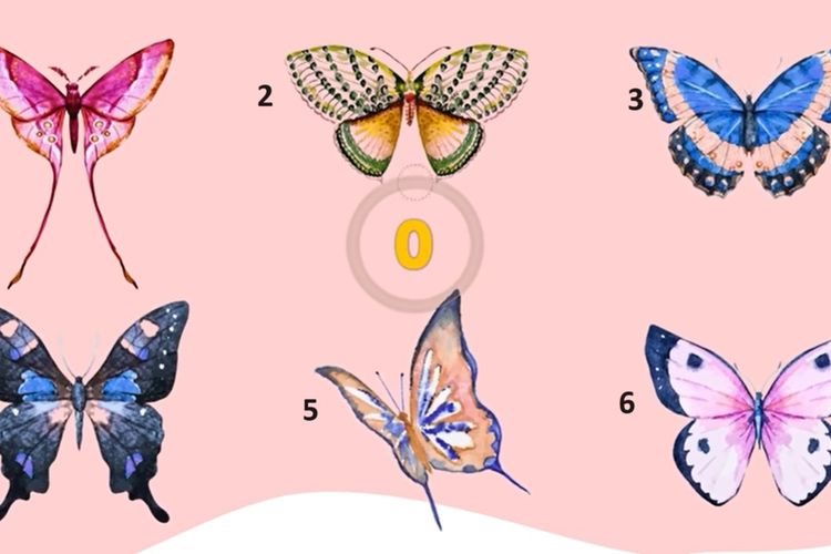 Identik Sebagai Simbol Perubahan, Pilih Gambar Kupu-Kupu Ini dan Kamu Akan Tahu Kepribadianmu, Ayo Coba!