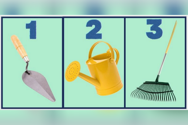 Tes Kepribadian: Pilih Satu Alat Berkebun Ini dan Ungkap Caramu Menyelesaikan Masalah, Terobos atau Kabur?