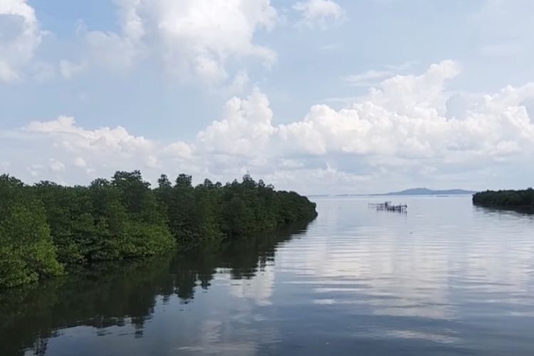 Lintasi Laut 160 m, Jembatan Terpendek di Indonesia Ada di Batam Kepulauan Riau, Panorama Antar Pulaunya…