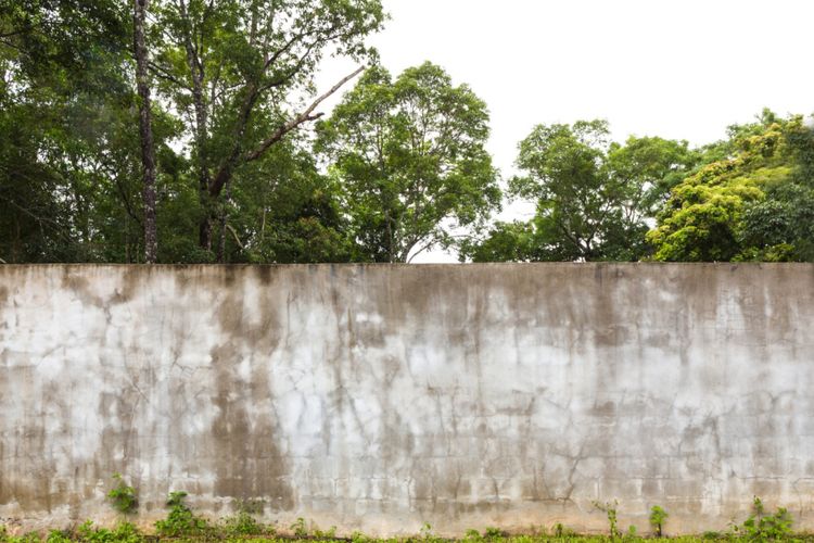 Lahan Tertutup di Bogor Jawa Barat Ini Dikira Terbengkalai, Ternyata di Balik Pagarnya Berserakan Bangkai…