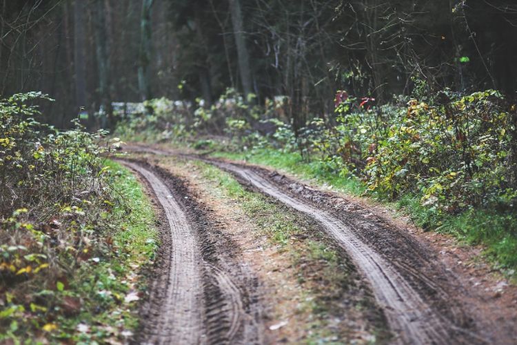 Dana Desanya Rp1 Miliar, Warga Desa di Pesawaran Lampung Ini Bangun Jalan 500 Meter dari Hasil Patungan Warga