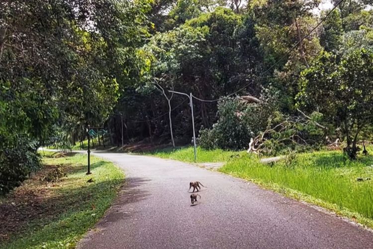 Bukan Marina City, Kota Mati di Batam Kepulauan Riau ini Dibangun 1975, Penghuninya Perlahan Lenyap karena…