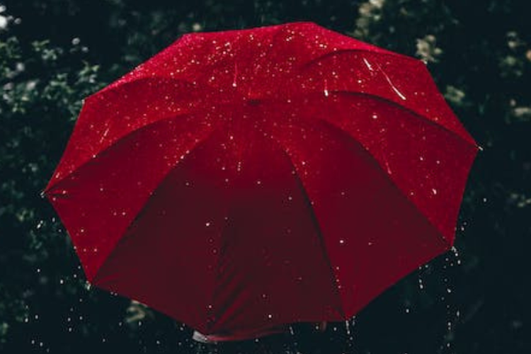 Payung Sangat Dibutuhkan! Penduduk Kota Emas di Ujung Timur Indonesia Papua Memakainya Karena Hal Ini!