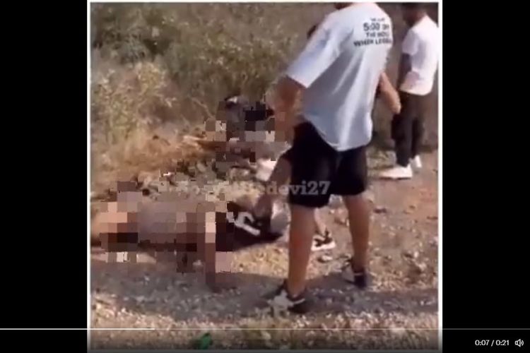 Viral, Diduga Pemuda Israel Kencingi Syuhada Palestina: Mayat Ditelanjangi dan Ditendang di Bagian Kepala