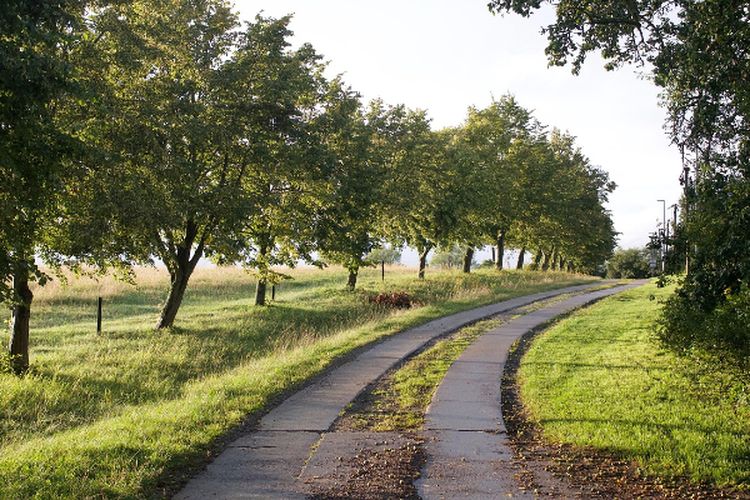 Mangkrak 16 Tahun hingga 3 Kali Ganti Bupati, Pembangunan Jalan Rp159 M di Maluku Utara Belum Rampung