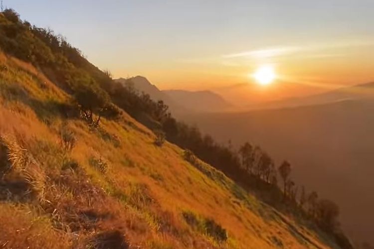 Usai Kebakaran Hebat Akibat Ulah Sepasang Kekasih, Savana Bromo Makin Menghijau Perlahan Tunjukan Keindahannya