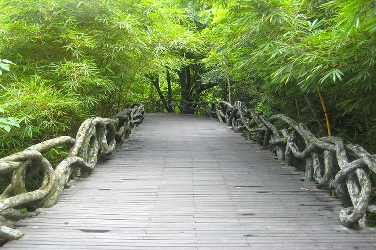 Kucuran Rp220,6 Miliar, Pembangunan Jembatan di Kalimantan Timur Mangkrak Sejak Tahun 2014, Benarkah?