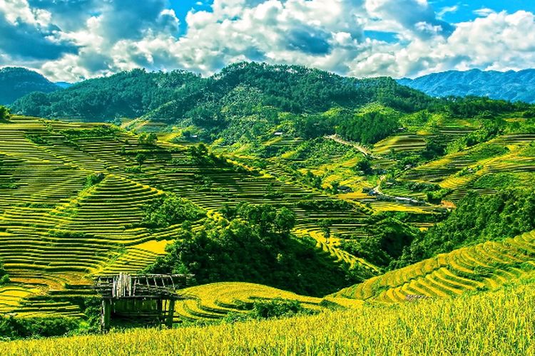 Nilai Kontraknya Rp90,4 Miliar, Program Antisipasi Krisis Pangan di Sumatera Utara Gagal, Benarkah?