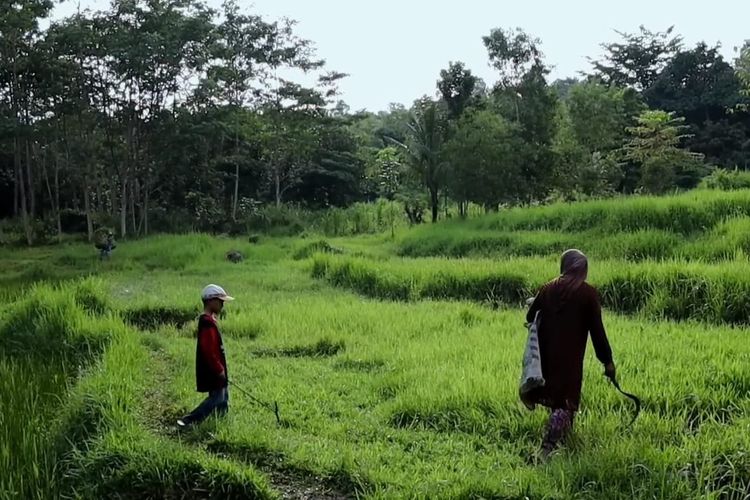 Gak Cuma di Indonesia! Perkampungan Jawa Ternyata Juga Menyebar Sampai ke Negeri Jiran, Kok Bisa?