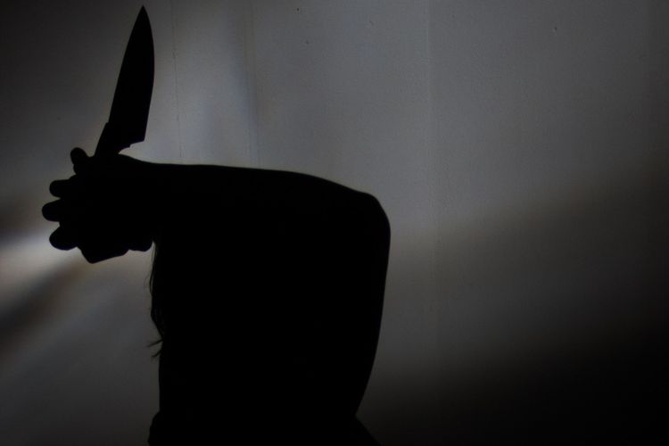 Seorang Anak Palestina Berdarah di Amerika Ditikam Berkali-kali Hingga Tewas, Buntut dari Perang Hamas-Israel