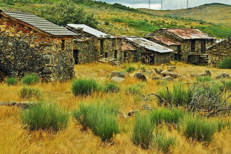 Medan Sumatera Utara Ternyata Simpan Perkampungan India Terbesar di Indonesia Luasnya 10 Hektar, Awalnya…