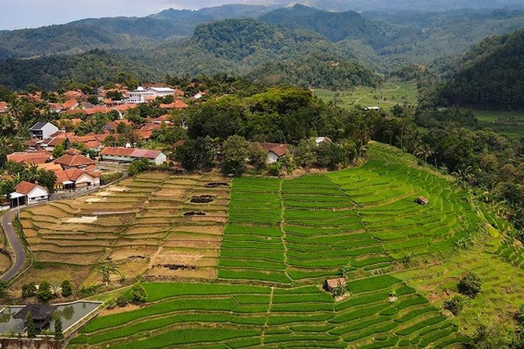 Nekat! Desa Terpencil di Tengah Hutan Gunung Wilis, Jawa Timur Ini Dihuni oleh Para Lansia, Cuma Ada 4 KK?