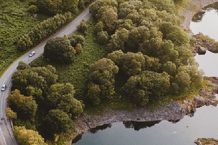 Dikurung Perkebunan Teh dan Hutan Lindung, Desa Wisata di Bandung Jawa Barat Ini Sejuknya Gak Ada Obat!