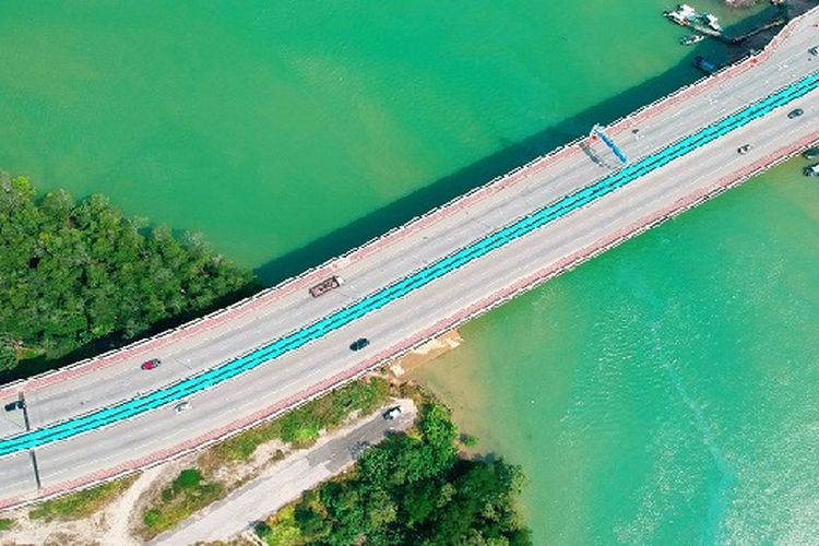 Arsitek Luar Negeri Melongo! Jalan Tol di Semarang Jawa Tengah Ini Melayang di Atas 10 Juta Bambu, Kok Bisa?
