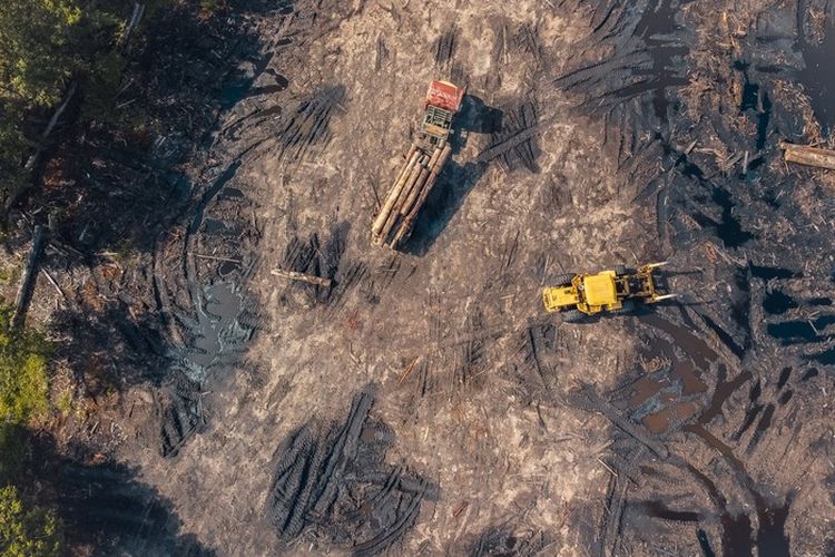 Omzetnya Rp40 M per Bulan, Crazy Rich Batulicin Asal Kalsel Ini Awalnya Hanya Berperan Jadi Sopir Angkut Kayu