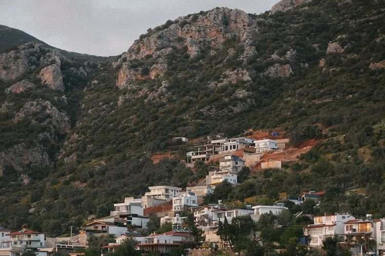 Inilah Salah Satu Desa Terindah di Probolinggo Jawa Timur yang Jadi Pintu Masuk Menuju Bromo, Namanya…