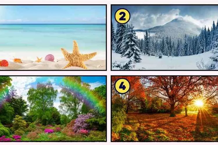 Tes Kepribadian: Musim yang Kamu Pilih Menunjukkan Sifat Kalian yang Paling Berharga, Menarik untuk Dicoba!