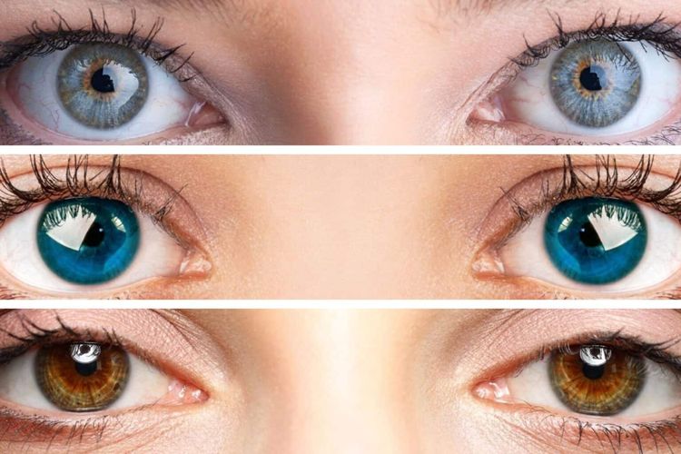 Tes Kepribadian: Cari Tau Cara Mengenal dan Memahami Sifat Pasangan Sejati Kalian Berdasarkan Warna Mata