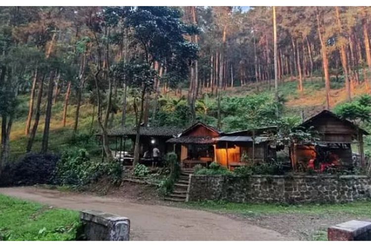 Buka 24 Jam di Tengah Hutan, Warung ‘Abadi’ di Mojokerto Ini Bertahan Sendirian, Ternyata Dulu Tempat…