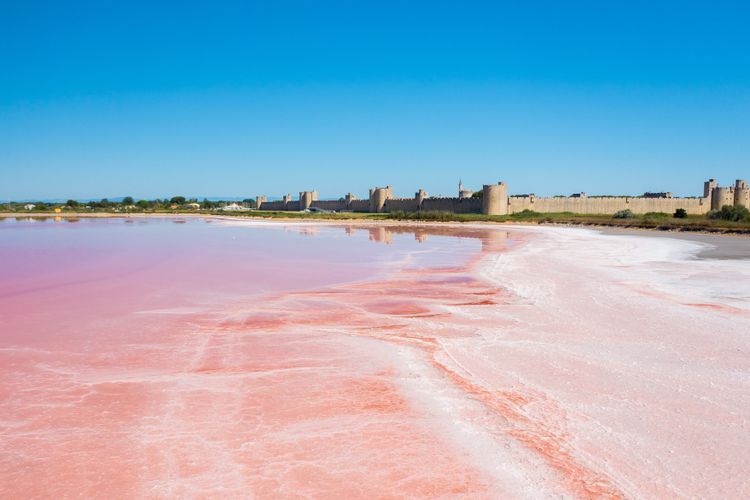 Satu-satunya di Sumatera Utara, Pasir Pantai Ini Berwarna Pink, Inilah Akses Jalan yang Dapat Ditempuh