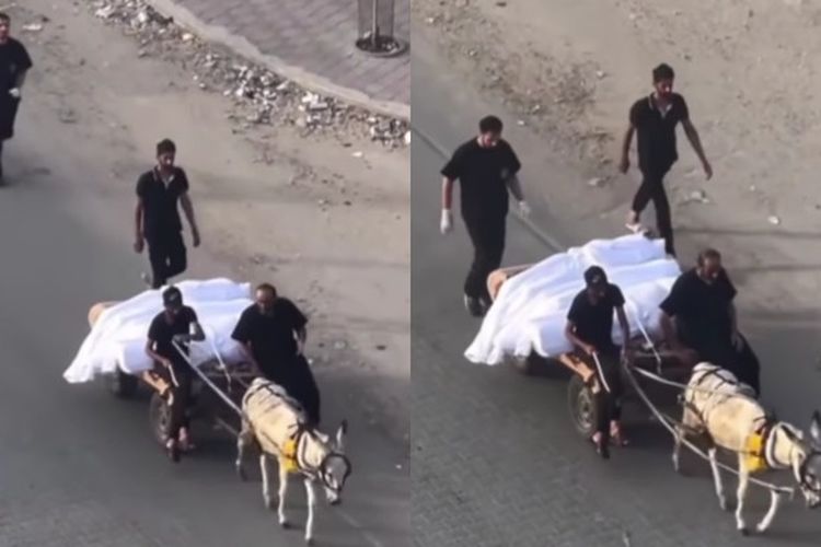 Ambulans Habis Dihancurkan oleh Serangan Israel, Warga Gaza Membawa Jenazah Menggunakan Keledai