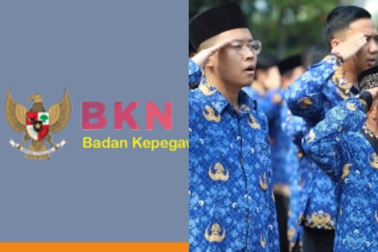 Bukan Main, PNS Golongan Ini Bisa Cuan Hampir Rp 22 Juta Dalam Sebulan Setelah BKN Rilis Gaji ASN Dengan Single Salary