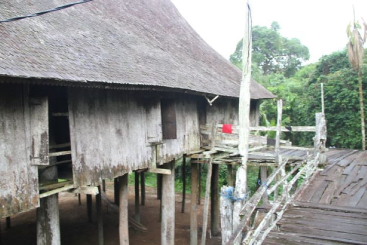 Dibangun Sejak 1870, Rumah di Kotawaringin Timur Ini Jadi Tertinggi se-Kalimantan Tengah? Begini Strukturnya