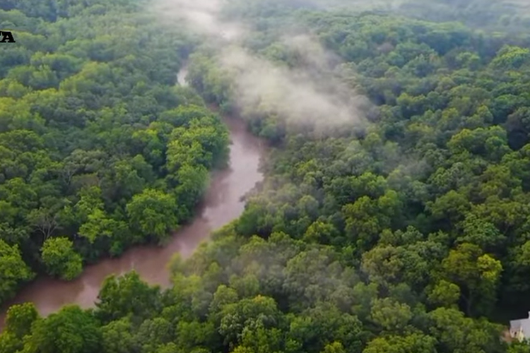 Sebab Kebrobokan Oknum-oknum Pemain Proyek, Hutan di Kalteng Ini Jadi Tak Hijau Lagi, Siapa Dalangnya?