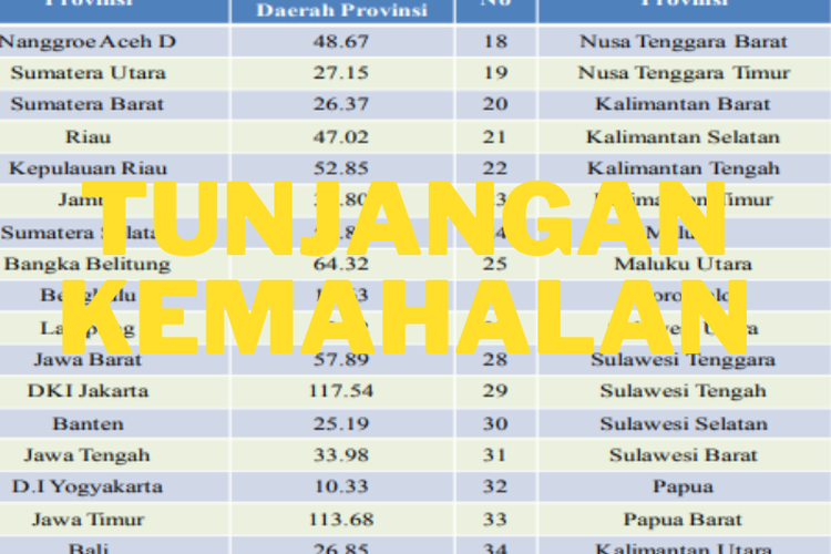 Resmi Gunakan Sistem Single Salary PNS, BKN Sahkan Tunjangan Kemahalan! Cek Indeks Tiap Provinsi