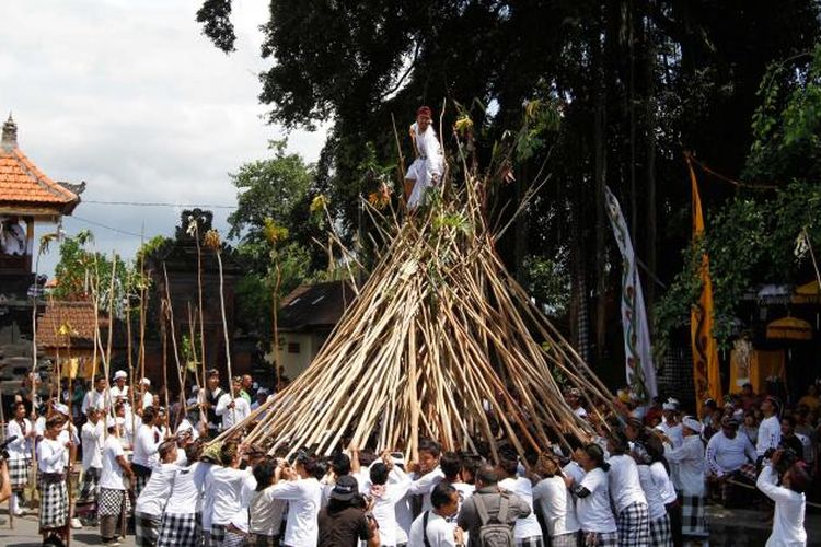 Sempat Dihentikan Tahun 1915, Tradisi Khas Ala Desa Wisata Munggu di Kabupaten Badung Ini Bisa Tolak Bala?