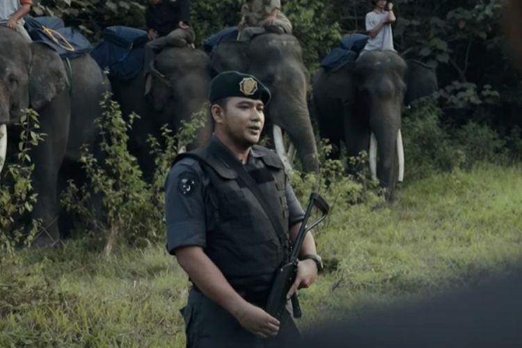 Intip Tunjangan Kinerja PNS Polisi Kehutanan di Kementerian LHK, Berlimpah Tukin Hingga Rp5,1 Juta Setiap Bulan Untuk Jabatan…