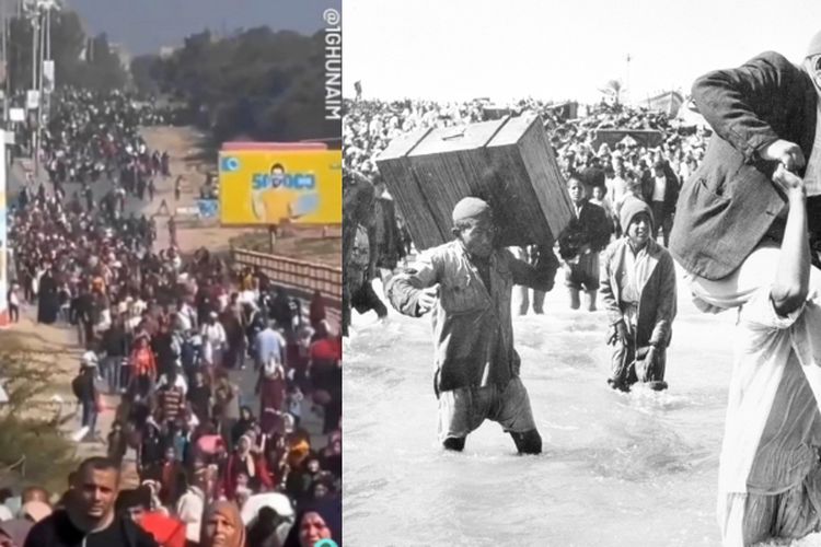 Video Ribuan Warga Palestina Terusir dari Negeri Sendiri, Potret Eksodus 1948 Terulang Kembali?