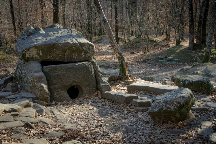 Berasal Dari Abad ke-14, Lembah di Kabupaten Poso Ini Dipenuhi oleh Situs Megalitik Berupa Patung Batu Unik